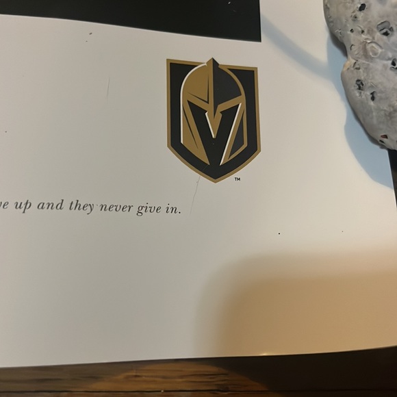 New 2023 Stanley Cup Champions SGA USA - Vegas Golden Knights Panoramic Picture - Picture 4 of 13